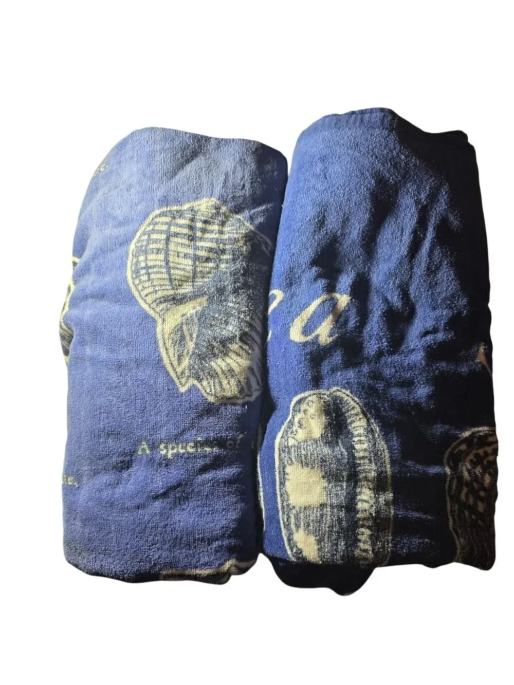 Set of Two Towels Sea Shells Cotton Beach Nautical Navy White Ocean Vacation